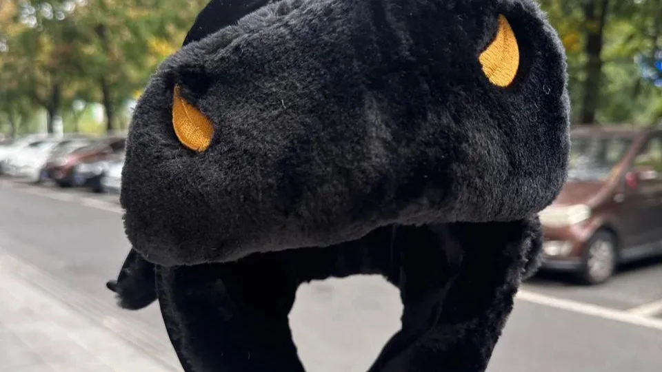 WEATHER REPORT EMBROIDERED USHANKA (see item description for shipping) - Image 9